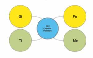 ISFJ Cognitive Functions