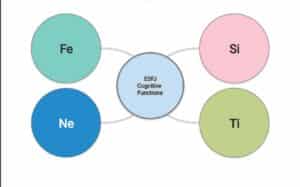 ESFJ Cognitive Functions