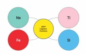 ENTP Cognitive Functions