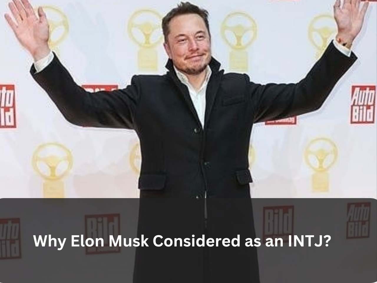 Elon Musk's Personality Type